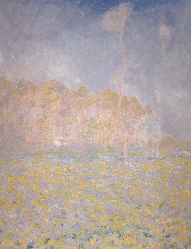 Claude Monet Springtime Landscape oil painting image